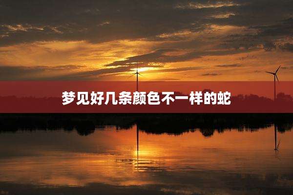 梦见好几条颜色不一样的蛇