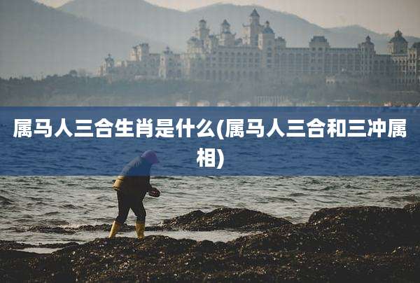 属马人三合生肖是什么(属马人三合和三冲属相)