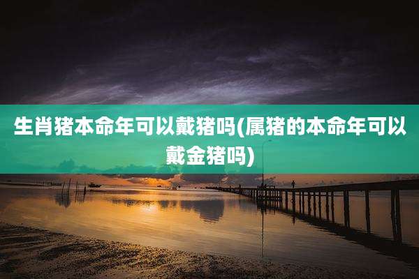 生肖猪本命年可以戴猪吗(属猪的本命年可以戴金猪吗)