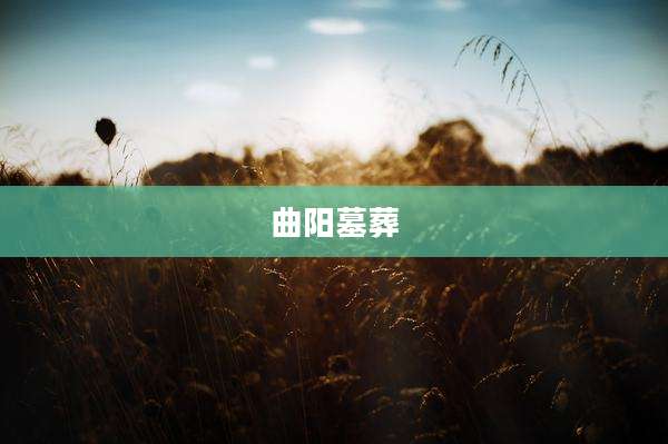 曲阳墓葬