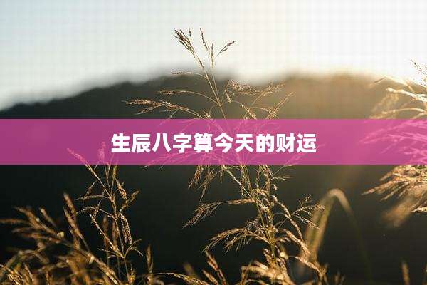 生辰八字算今天的财运