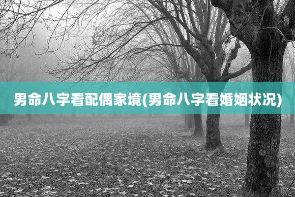 男命八字看配偶家境(男命八字看婚姻状况)