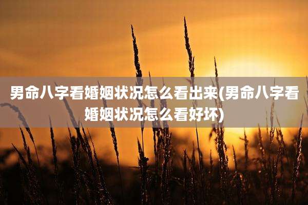 男命八字看婚姻状况怎么看出来(男命八字看婚姻状况怎么看好坏)