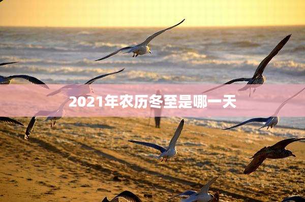 2021年农历冬至是哪一天