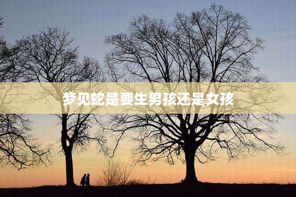 梦见蛇是要生男孩还是女孩