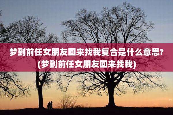 梦到前任女朋友回来找我复合是什么意思?(梦到前任女朋友回来找我)