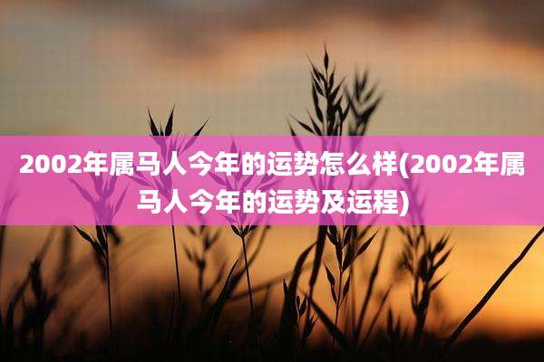 2002年属马人今年的运势怎么样(2002年属马人今年的运势及运程)