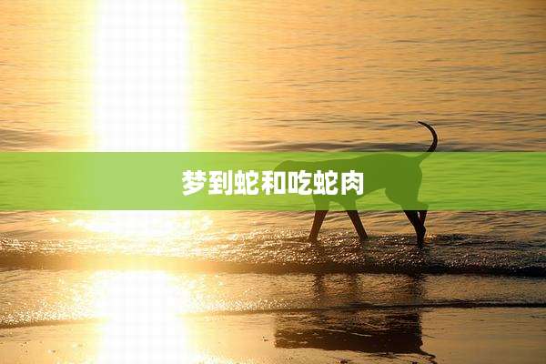 梦到蛇和吃蛇肉