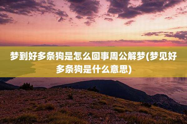 梦到好多条狗是怎么回事周公解梦(梦见好多条狗是什么意思)
