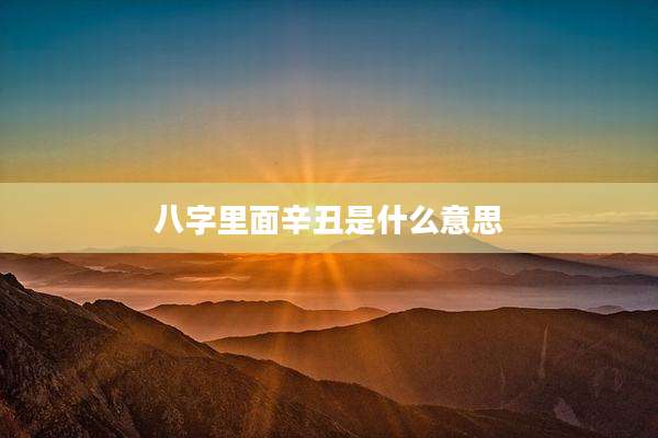 八字里面辛丑是什么意思
