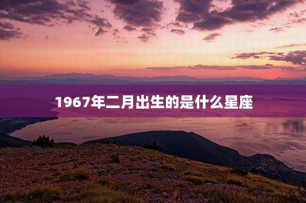 1967年二月出生的是什么星座