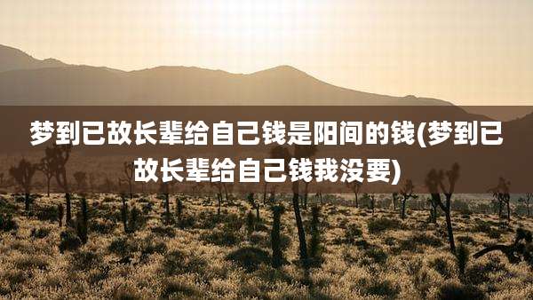 梦到已故长辈给自己钱是阳间的钱(梦到已故长辈给自己钱我没要)