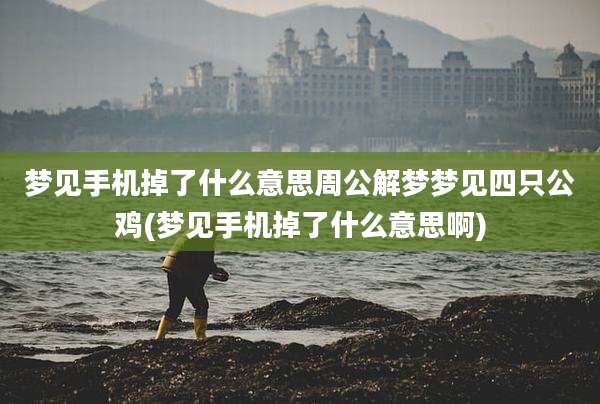 梦见手机掉了什么意思周公解梦梦见四只公鸡(梦见手机掉了什么意思啊)