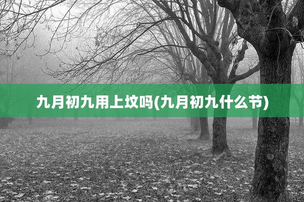 九月初九用上坟吗(九月初九什么节)