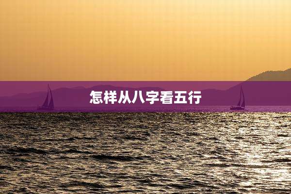 怎样从八字看五行