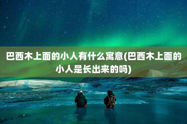 巴西木上面的小人有什么寓意(巴西木上面的小人是长出来的吗)