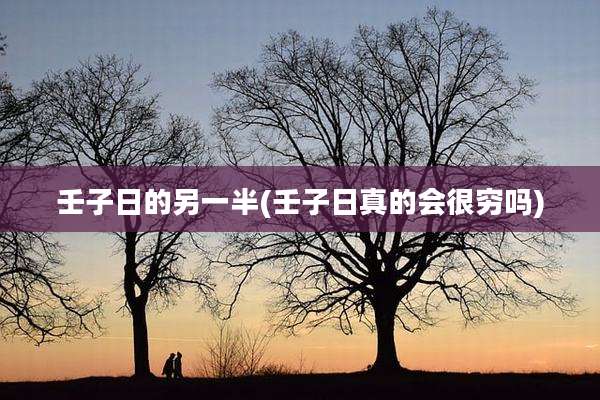 壬子日的另一半(壬子日真的会很穷吗)