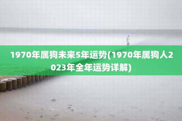 1970年属狗未来5年运势(1970年属狗人2023年全年运势详解)