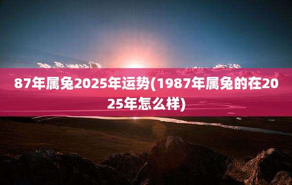 87年属兔2025年运势(1987年属兔的在2025年怎么样)
