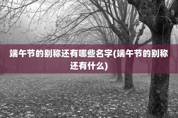 端午节的别称还有哪些名字(端午节的别称还有什么)