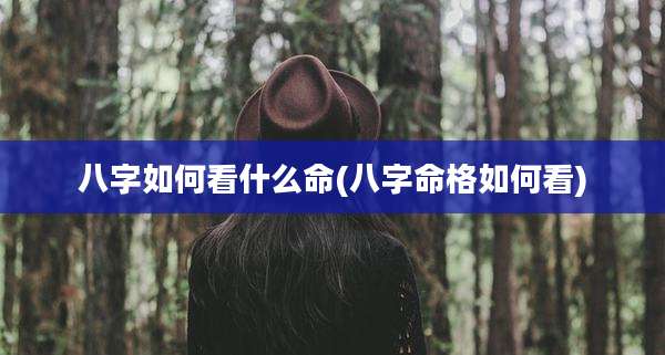 八字如何看什么命(八字命格如何看)
