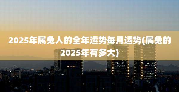 2025年属兔人的全年运势每月运势(属兔的2025年有多大)