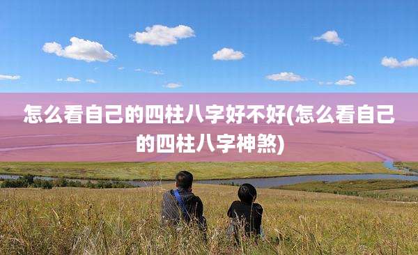 怎么看自己的四柱八字好不好(怎么看自己的四柱八字神煞)