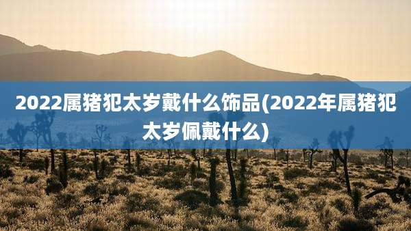 2022属猪犯太岁戴什么饰品(2022年属猪犯太岁佩戴什么)
