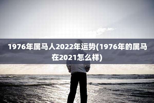 1976年属马人2022年运势(1976年的属马在2021怎么样)