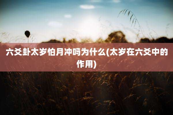 六爻卦太岁怕月冲吗为什么(太岁在六爻中的作用)