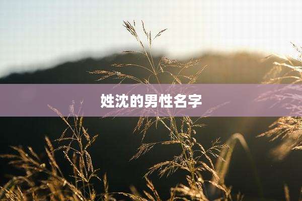 姓沈的男性名字