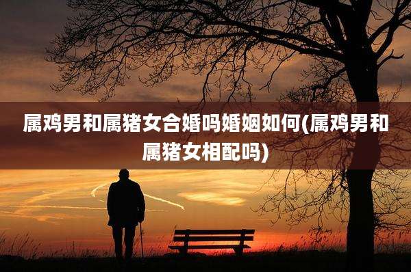 属鸡男和属猪女合婚吗婚姻如何(属鸡男和属猪女相配吗)