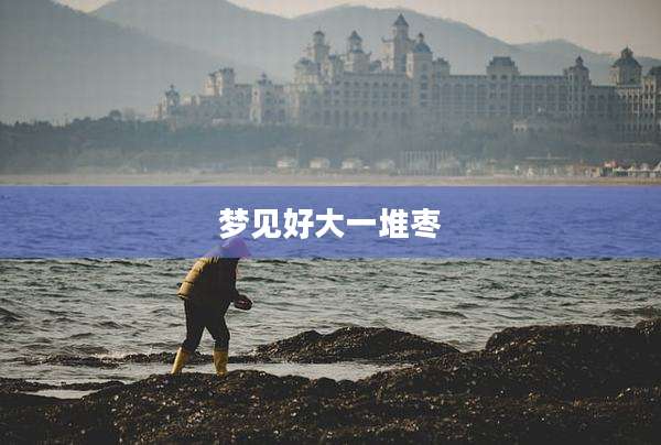 梦见好大一堆枣