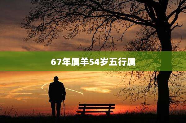 67年属羊54岁五行属