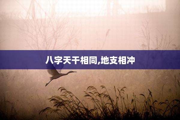 八字天干相同,地支相冲