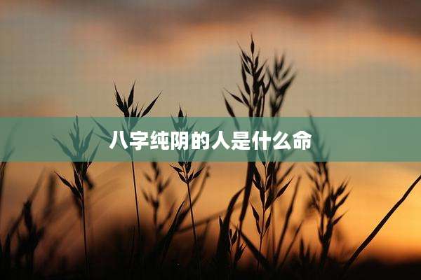 八字纯阴的人是什么命