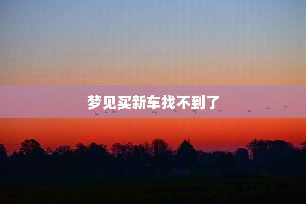 梦见买新车找不到了