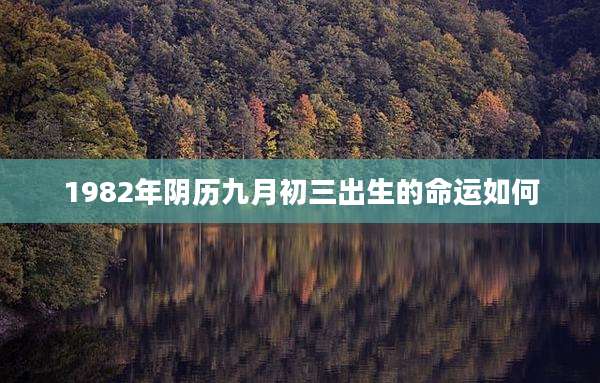 1982年阴历九月初三出生的命运如何