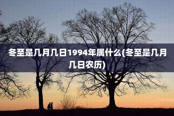 冬至是几月几日1994年属什么(冬至是几月几日农历)