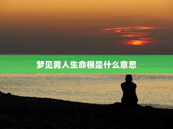 梦见男人生命根是什么意思
