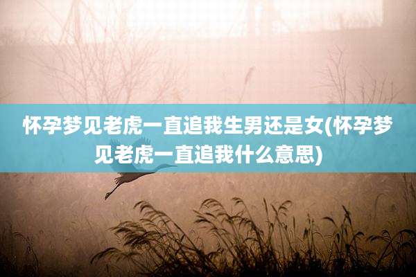 怀孕梦见老虎一直追我生男还是女(怀孕梦见老虎一直追我什么意思)