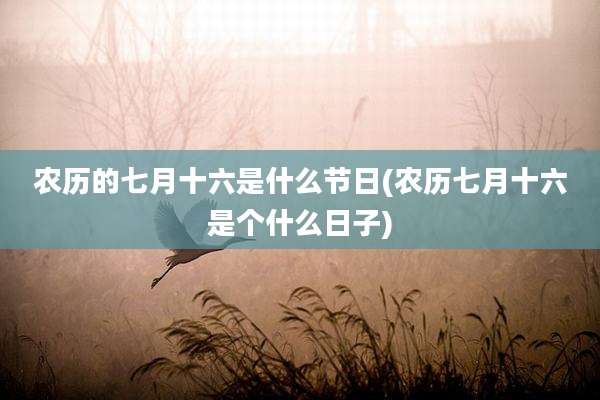 农历的七月十六是什么节日(农历七月十六是个什么日子)