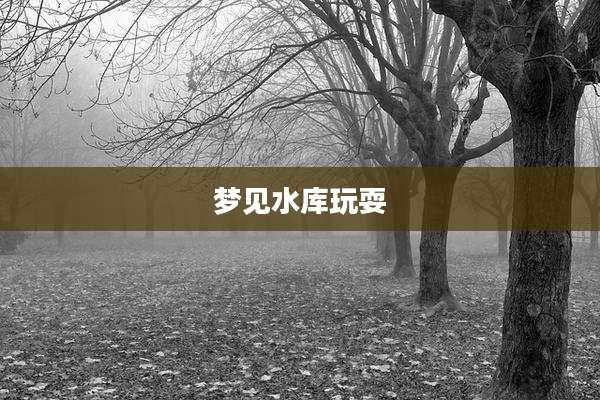 梦见水库玩耍