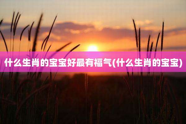 什么生肖的宝宝好最有福气(什么生肖的宝宝)