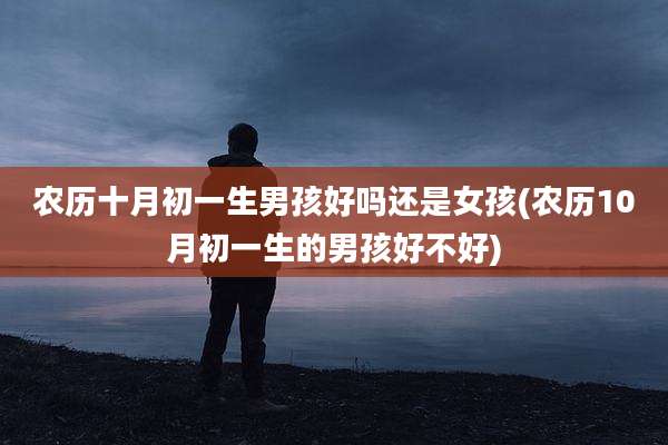 农历十月初一生男孩好吗还是女孩(农历10月初一生的男孩好不好)