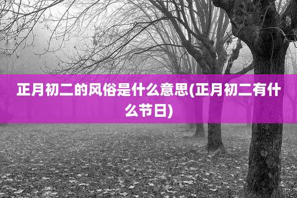 正月初二的风俗是什么意思(正月初二有什么节日)