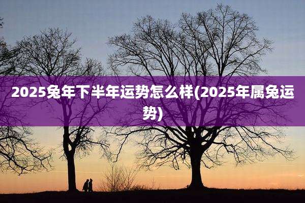 2025兔年下半年运势怎么样(2025年属兔运势)