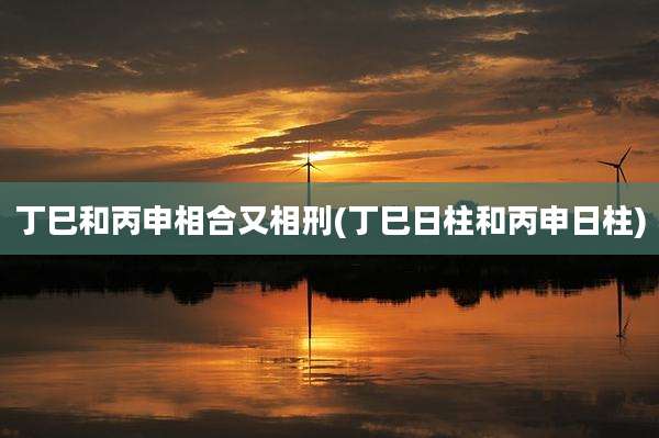 丁巳和丙申相合又相刑(丁巳日柱和丙申日柱)