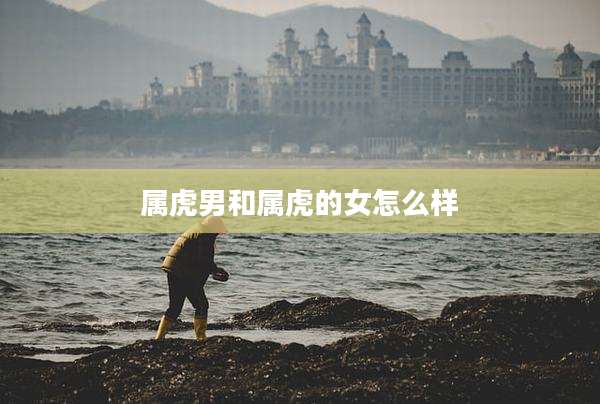属虎男和属虎的女怎么样