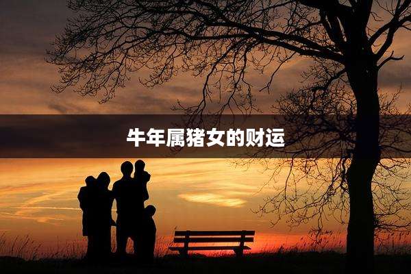 牛年属猪女的财运